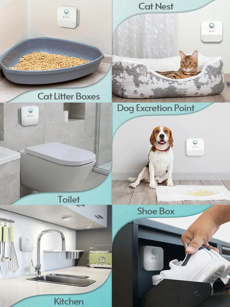 Smart Home Pet Odor Purifier